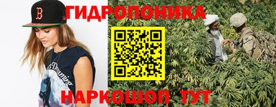 spice Кимры