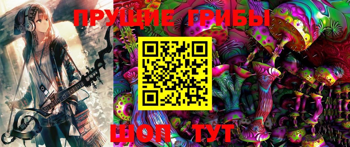 Псилоцибиновые грибы мицелий Юрга