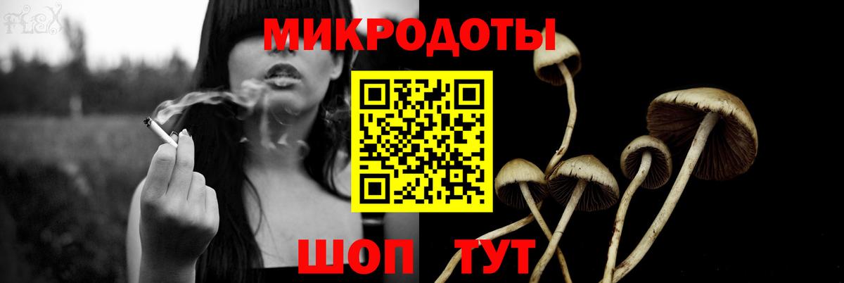 Юрга  Псилоцибиновые грибы прущие грибы  Вход с VPN 